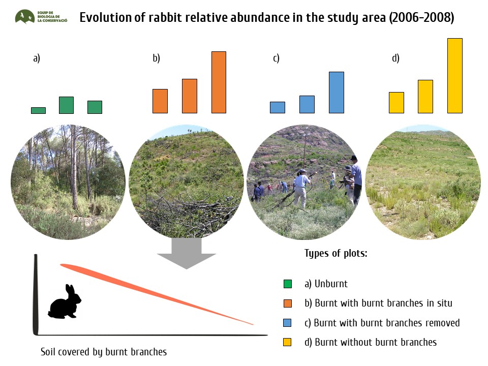 Evolution of rabbit relative abundance, obtained from pellet counts, in the different studied plots during 2006, 2007 and 2008.