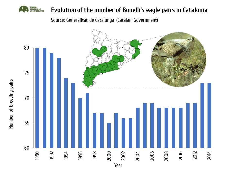 Distribution area and evolution of the number of breeding pairs of Bonelli’s eagle in Catalonia. Source: Government of Catalonia.