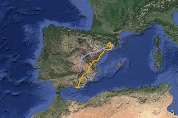 The two young Egyptian vultures born in the Sant Llorenç del Munt i l’Obac Natural Park (Ros and Obac) did not achieved to cross the Gibraltar strait.