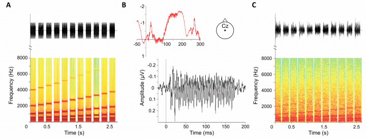 ERC-Figure2-720×274