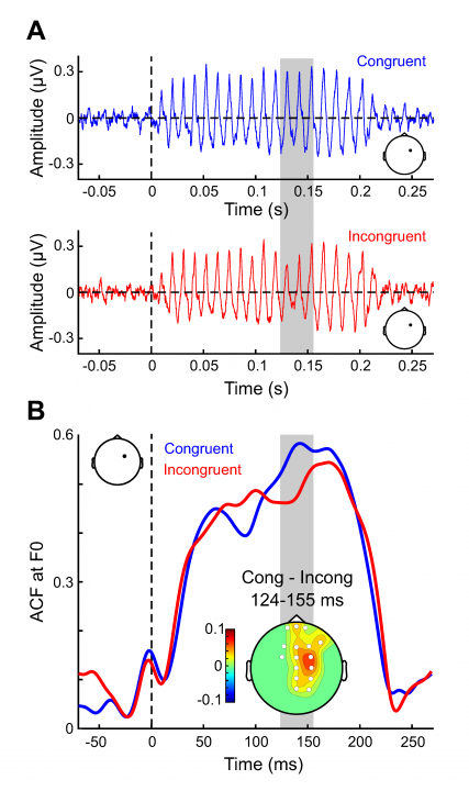 lexical-modulation-FFR-427×720