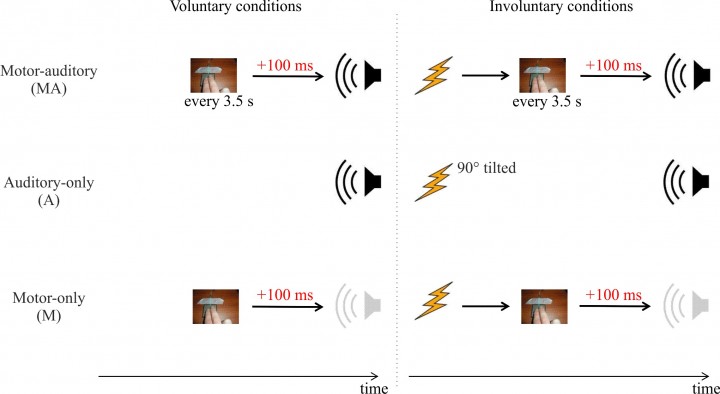 Fig3-agency-720×394