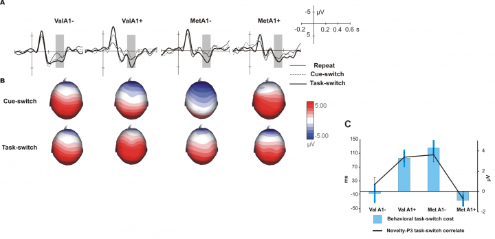 research-genetics-Fig2-Garcia-G-2011-720×348