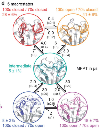 Dynamic design: manipulation of millisecond timescale motions on the energy landscape of cyclophilin A