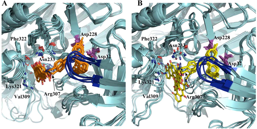 Synthesis and Multitarget Biological Profiling of a Novel Family of Rhein Derivatives As Disease-Modifying Anti-Alzheimer Agents