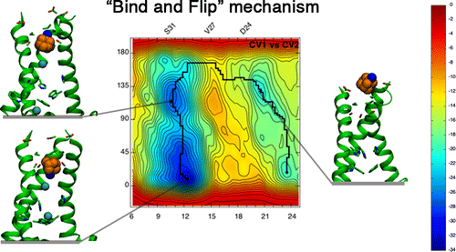 Mechanism of the Pseudoirreversible Binding of Amantadine to the M2 Proton Channel