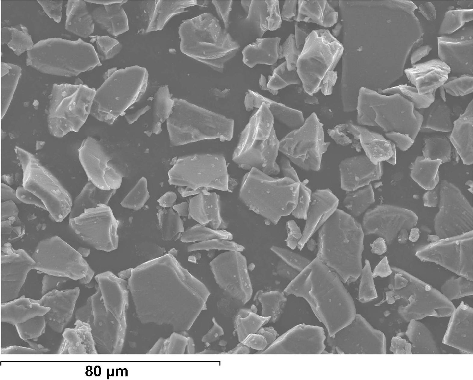 Micrografia Nº2: Espectre general