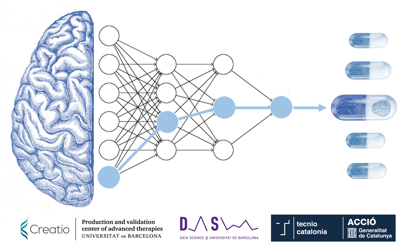 Creatio | DataScience Modeling (Basic Research) - Creatio