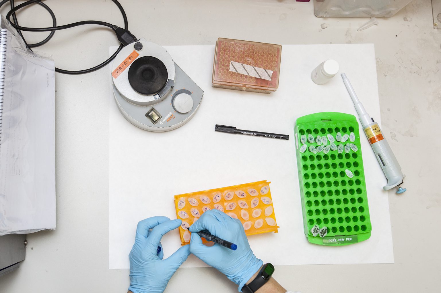 Photo of a bench with laboratory material