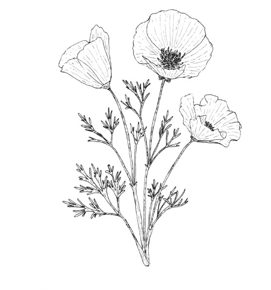 Què ha estat per a tu Duoda?