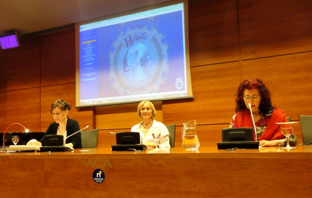 XXVII  SEMINARIO:  La performance, prolongación del parto