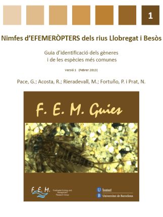 FEM Guies 1 Efemeropters