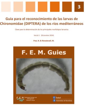 FEM Guies 3 Chironomidae