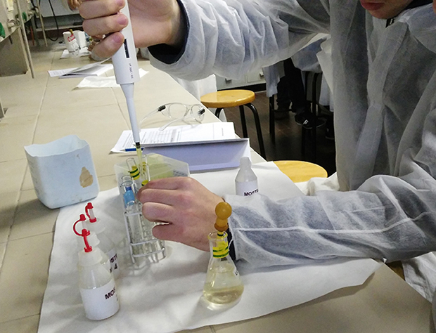 Fem Química al Laboratori