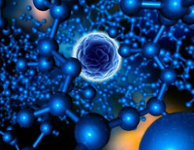 Endinsa't en la Bioquímica