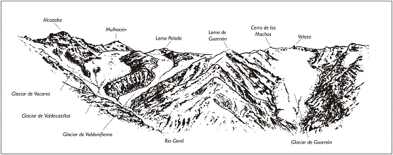 Sierra Nevada bajo el foco: Descubriendo La Sociedad de la Nieve