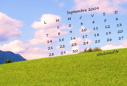 Establir els objectius