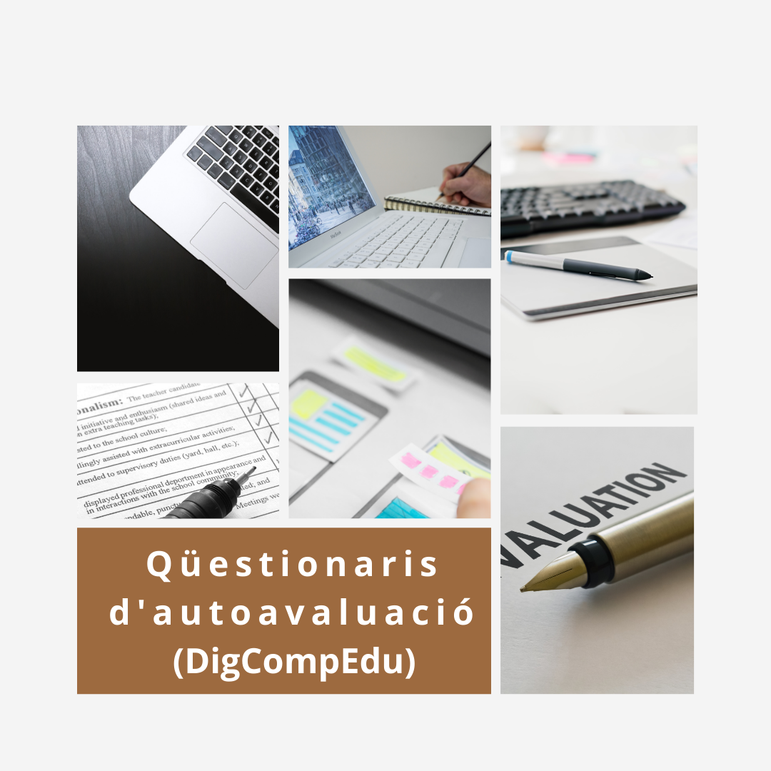Qüestionaris d'autoavaluació (DogCompEdu)