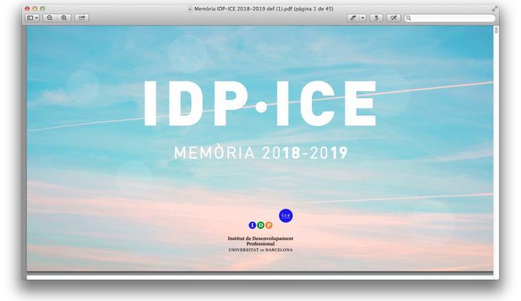 Memòria IDP_ICE 2018_2019