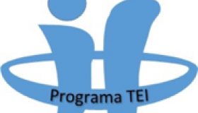 Programa TEI. Tutoria Entre Iguals. Grup d'investigació de l'ICE sobre violència i assetjament