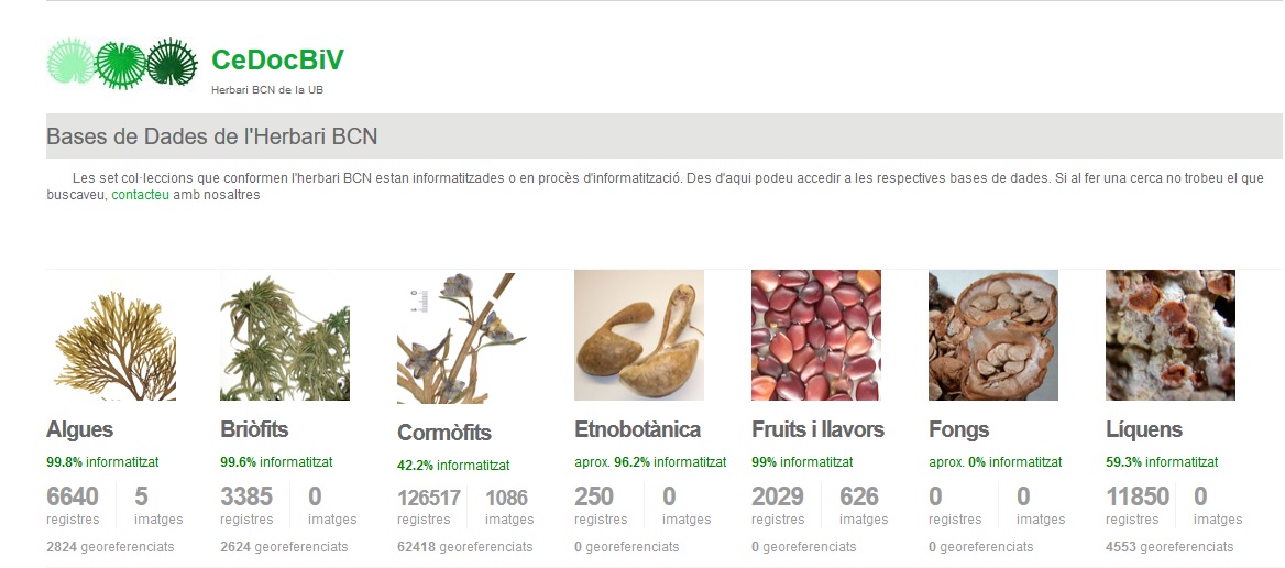 Personal investigador/académico