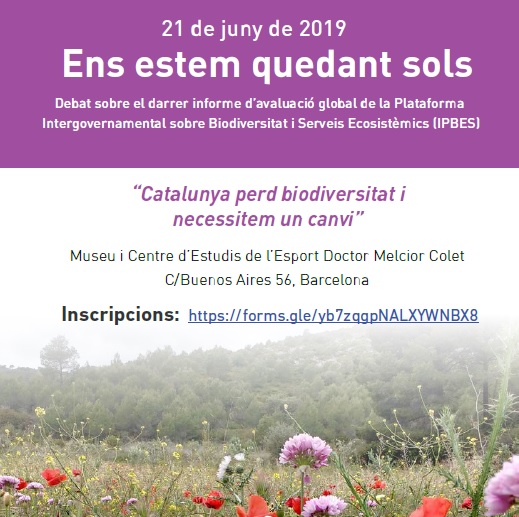 Personal investigador/académico