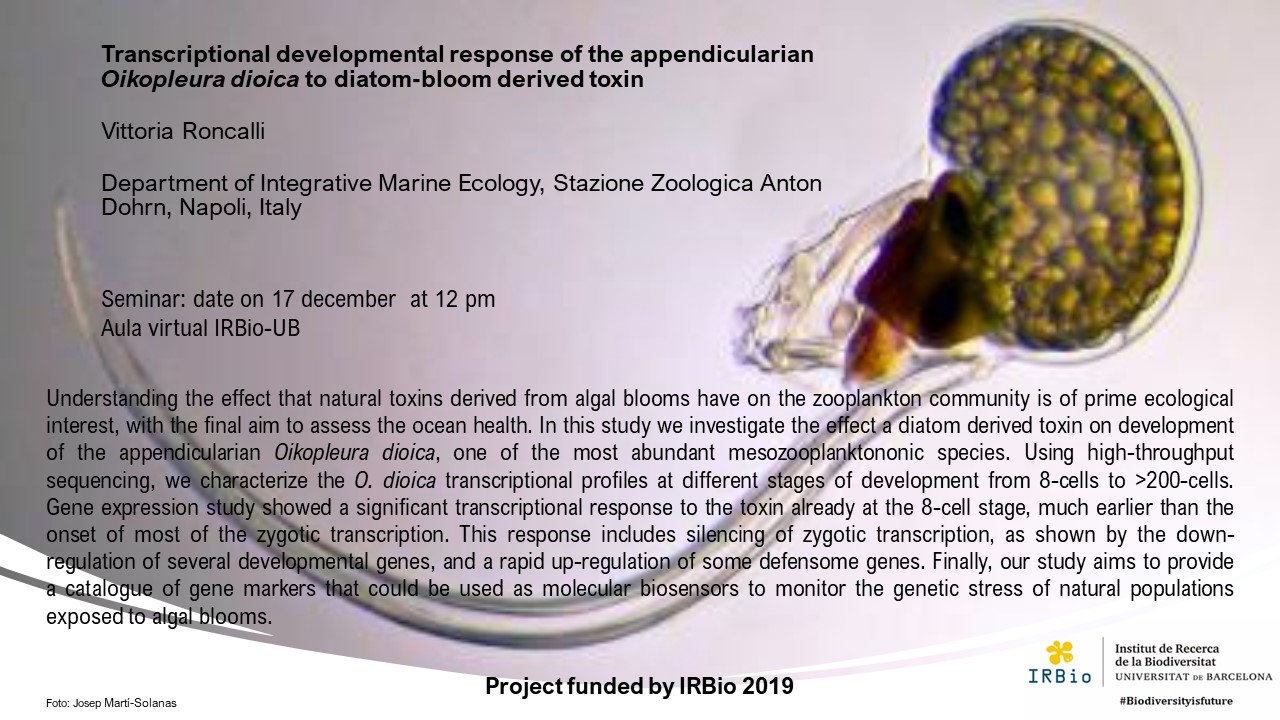 Personal investigador/académico