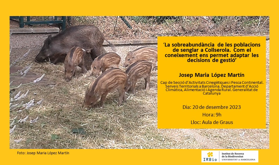 Personal investigador/acadèmic