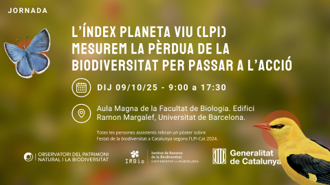 Personal investigador/acadèmic