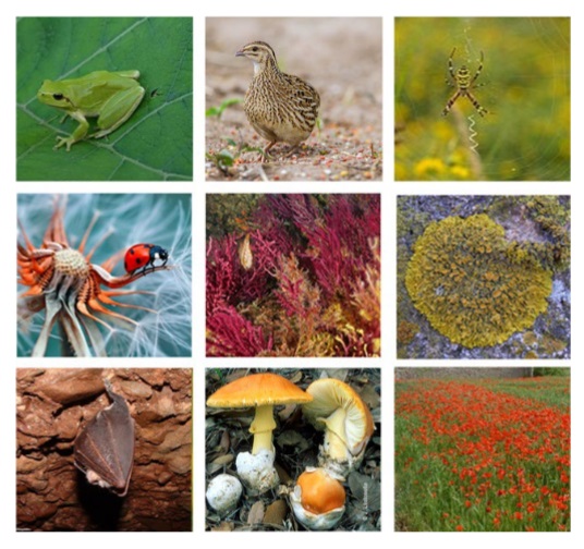 Personal investigador/académico