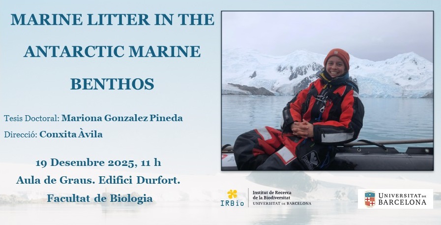 Personal investigador/acadèmic