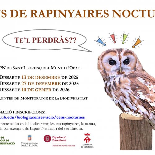 Haz ciencia y colabora en el censo de rapaces nocturnas 