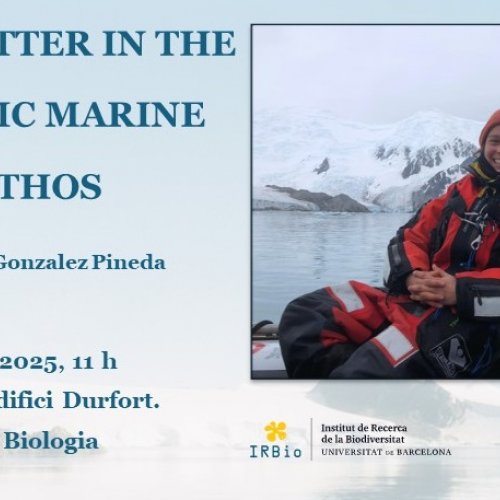 MARINE LITTER IN THE ANTARCTIC MARINE BENTHOS