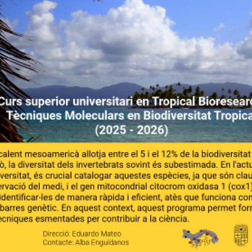 Curs superior universitari en Tropical Bioresearch: Tècniques Moleculars en Biodiversitat Tropical (2025 - 2026) 
