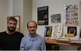 Un equipo de la UB participa en la secuenciación del genoma del ciempiés