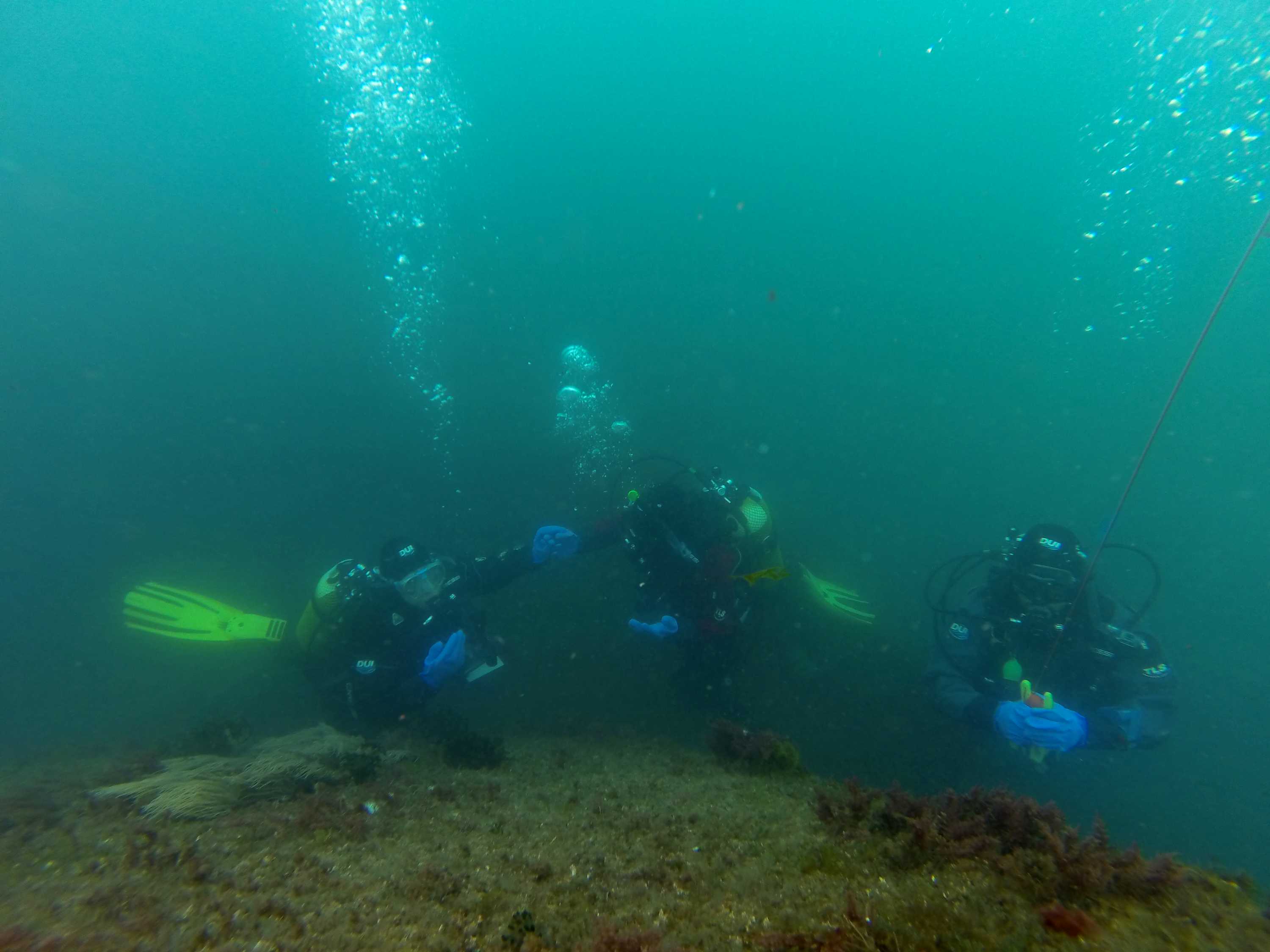 Propera Campanya Antàrtica (UB i Centre Oceanogràfic de Gijón)