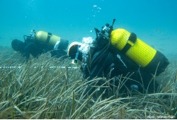 Aigües més netes a la costa catalana fruit de la millora del tractament de les aigües residuals