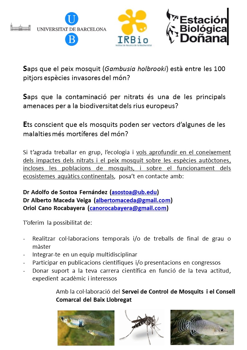 Col·labora a l'estudi del peix mosquit (Gambusia Holbrooki)