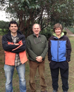 L’àliga perdiguera a Catalunya: de l’amenaça a la conservació