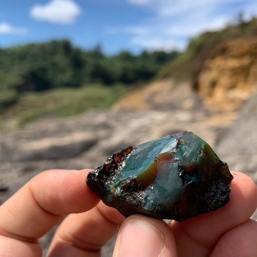 Descubierto el primer depósito de ámbar del Mesozoico con insectos preservados en Sudamérica