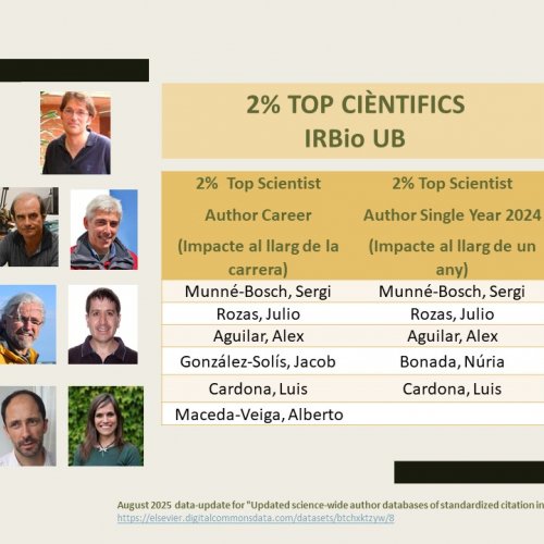 Investigadores e investigadoras del IRBio se consolidan en la lista de los 2% de científicos con mayor impacto mundial.