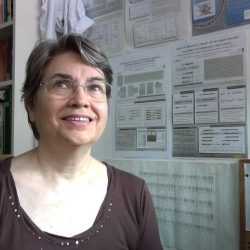 Orengo Ferriz, Dorcas Juana