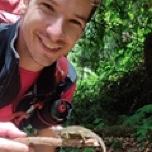 Romero Iraola, Iñaki