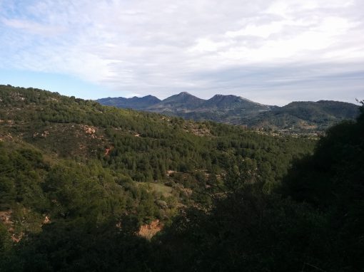 Font de Codina