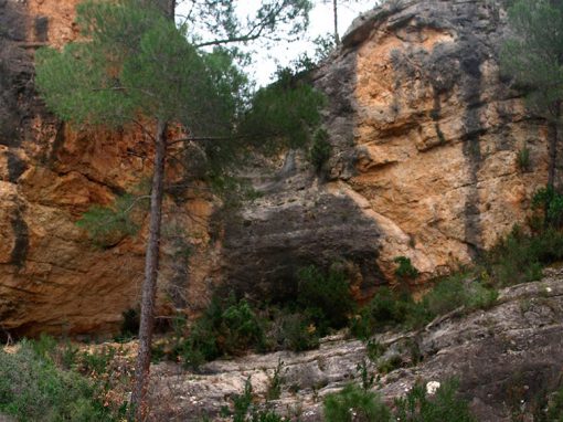 Abrigo de la Vieja Pelada