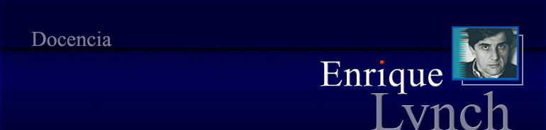 Enrique Lynch - Actividad Acad&eacute;mica