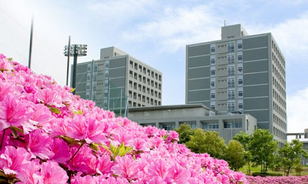 universitat provincial d'Aichi