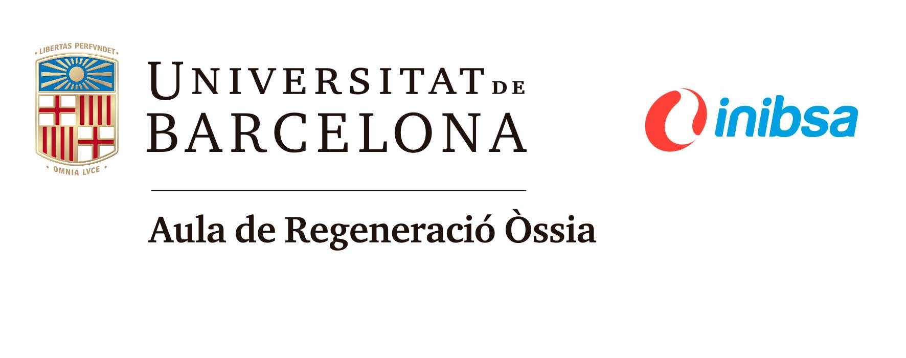 Imatge sense text alternatiu definit