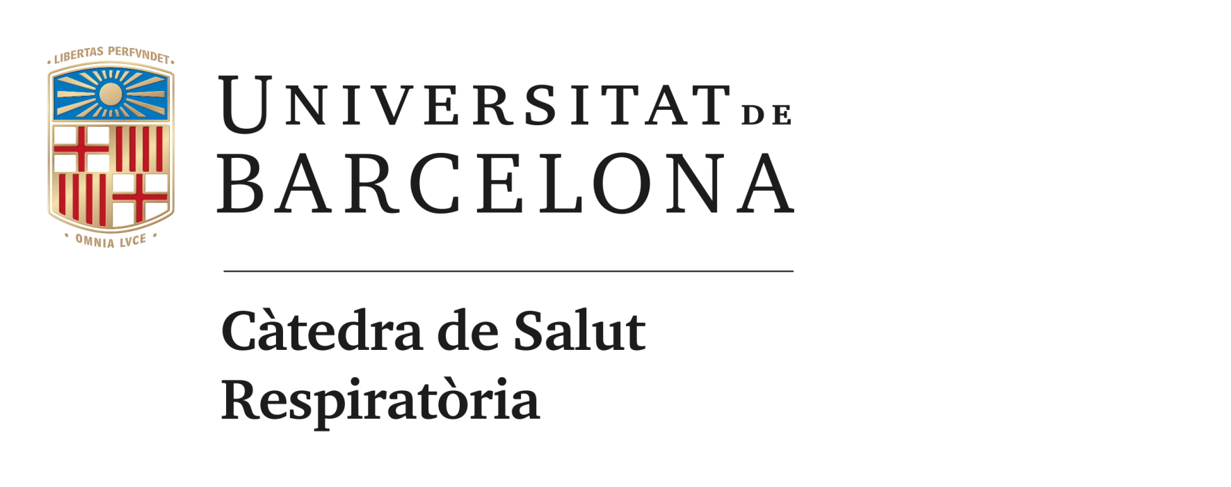 Imatge sense text alternatiu definit