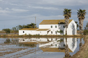 Mas (Delta de l'Ebre)  [JIOS].